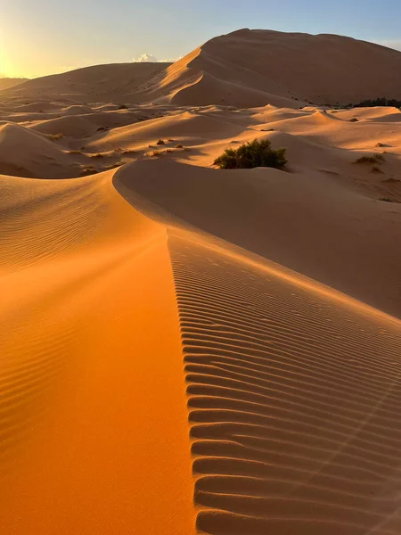 Merzouga Marokkó Afrika Panorámás Kilátás Dűnék Szahara Sivatagban Homokszemek Alkotó — Stock Fotó