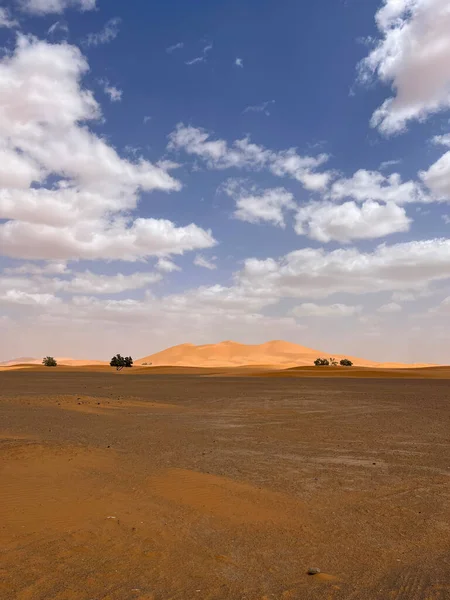 Merzouga Erg Chebbi Dunes Morocco Africa Panoramic Road Sahara Desert — 스톡 사진