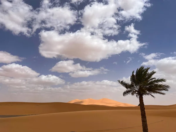 Merzouga Erg Chebbi Dunes Morocco Africa Panoramic View Dunes Sahara — Stockfoto