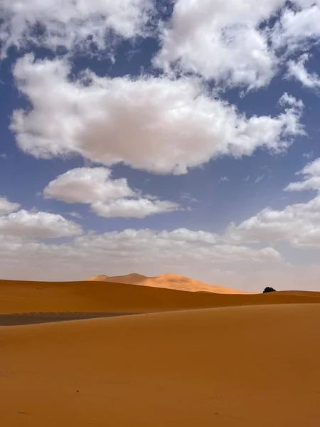 Merzouga Erg Chebbi Dunes Morocco Africa Panoramic View Dunes Sahara — 스톡 사진