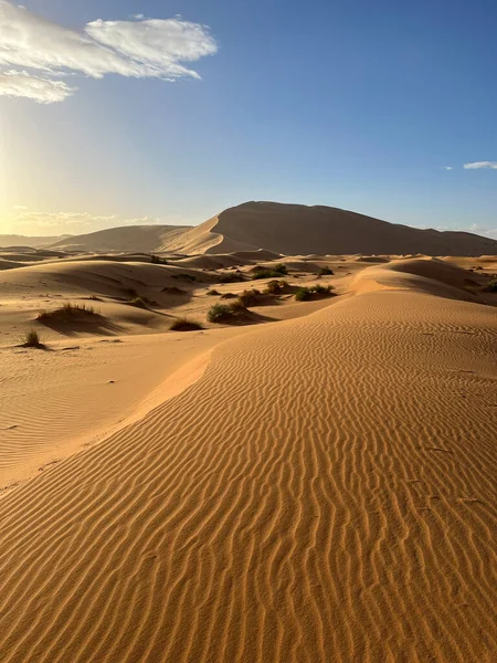 Merzouga Marocco Africa Vista Panoramica Delle Dune Nel Deserto Del — Foto Stock