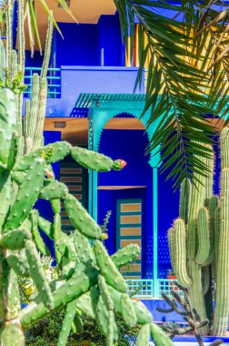 Bitkiler ve mobilyalar, açık alanların mimarisi, parlak renkler, elektrikli mavi duvarlar. Şişman bitkiler Majorelle Bahçesi, Jardin Majorelle. 03/27/2023. Botanik bahçesi ve sanatçının Fas, Marakeş 'teki manzara bahçesi.