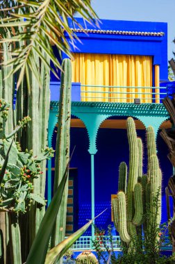 Bitkiler ve mobilyalar, açık alanların mimarisi, parlak renkler, elektrikli mavi duvarlar. Şişman bitkiler Majorelle Bahçesi, Jardin Majorelle. 03/27/2023. Botanik bahçesi ve sanatçının Fas, Marakeş 'teki manzara bahçesi.