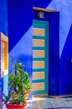 Bitkiler ve mobilyalar, açık alanların mimarisi, parlak renkler, elektrikli mavi duvarlar. Şişman bitkiler Majorelle Bahçesi, Jardin Majorelle. 03/27/2023. Botanik bahçesi ve sanatçının Fas, Marakeş 'teki manzara bahçesi.