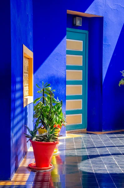 Pflanzen Und Einrichtungselemente Architektur Der Außenräume Helle Farben Elektrische Blaue — Stockfoto