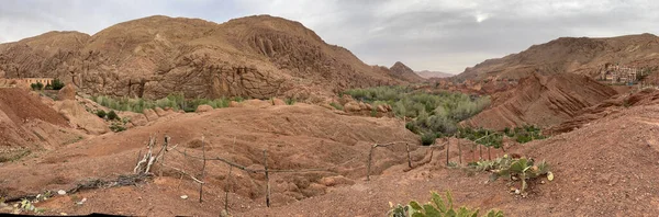 摩洛哥 红山和肉食 在Boumalne Dades和Dades Gorge附近的绿色Dades山谷中有一个迷人的泥村 其河流将Atlas和Anti Atlas山脉隔开 — 图库照片