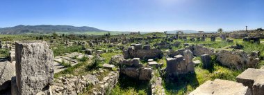 Fas, Afrika: Volubilis 'in kalıntılarının panoramik görüntüsü, Fas' taki en ünlü Roma arkeolojik bölgesi, Meknes yakınlarında, Zerhoun Dağı eteklerinde.