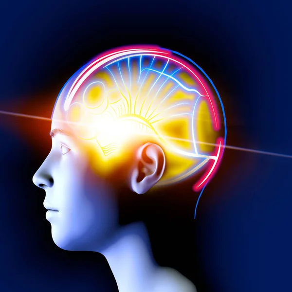 Neurológia Filozófia Kapcsolatok Gondolkodás Elmélkedés Fejlődése Agy Elme Végtelen Lehetőségei — Stock Fotó