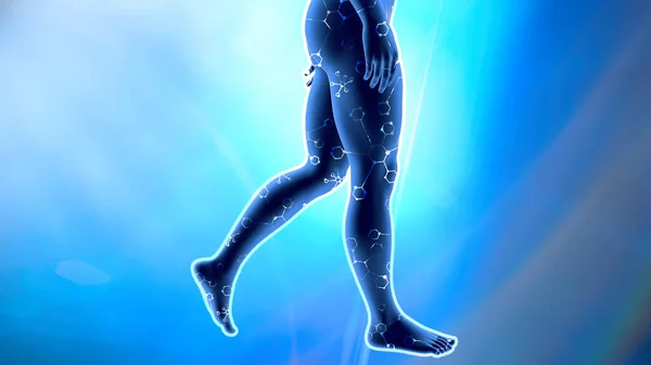 Leg Health Specific Supplements Help Body Boy Walking Rendering Muscle — Stock Photo, Image