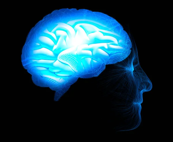 Sinapsların Mikroskobik Görüntüsü Beyin Bağlantıları Nöronlar Sinapslar Letişim Serebral Uyarıcılar — Stok fotoğraf