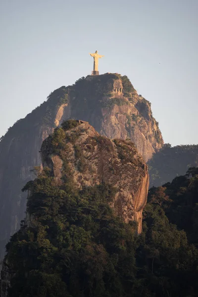 Brazylia 2023 Panorama Rio Janeiro Świcie Zieloną Roślinnością Widokiem Górę — Zdjęcie stockowe