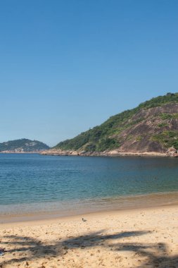 Rio de Janeiro, Brezilya: Praia Vermelha sahilindeki palmiye ağaçları (Red Beach), zengin yerleşim bölgesi Urca 'daki Sugar Loaf' un (Pao de Acucar) eteğindeki plaj.
