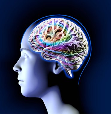 Nöroloji, felsefe: bağlantılar, düşünce ve yansımanın gelişimi, beyin ve aklın sonsuz olasılıkları. İnsan anatomisi. Dijital gerçeklik, yapay bilinç. 3d oluşturma