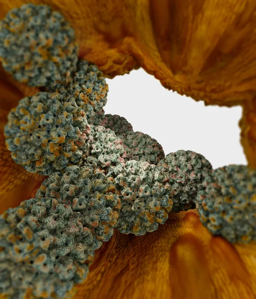 Human papillomavirus infection. Virus. HPV is the most common sexually transmitted infection globally. HPV infection is caused by human papillomavirus, a DNA virus from the papillomavirus family, 3d rendering