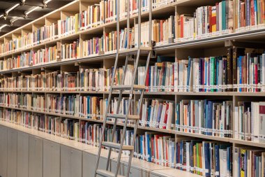 Çağdaş Yahudi Belgelendirme Merkezi Vakfı. Milan Merkez İstasyonu 'ndaki modern kütüphane. Yahudilerin tarihsel olaylarını, kültürünü ve gerçekliğini destekleyen kitaplar. Endüstriyel, çağdaş mimari. 1116-2023. Milan mı? İtalya