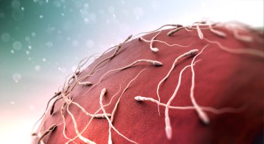 Mikroskop altında yumurta ve sperm büyütme. Yumurtayı döllemeye çalışan sperme yakından bakın. 3d oluşturma