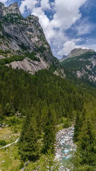 Granit dağ ve ormanlarla çevrili yeşil bir vadi olan Val di Mello 'nun hava manzarası İtalyan Yosemite Vadisi' ni doğa aşıkları tarafından yeniden adlandırıldı. Val Masino, Valtellina, Sondrio. İtalya