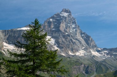 Valle d 'Aosta, İtalya, 08-15-2024: Cervino (Matterhorn) manzarası, 4.478 metre Orta Alp dağı, yeşil çayırlar ve köknar ormanlarıyla. Güney ve güneybatı sırtı (Cresta del Leone veya Arete du lion) üst Valtournenche 'den görüldü.