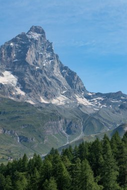 Valle d 'Aosta, İtalya, 08-15-2024: Cervino (Matterhorn) manzarası, 4.478 metre Orta Alp dağı, yeşil çayırlar ve köknar ormanlarıyla. Güney ve güneybatı sırtı (Cresta del Leone veya Arete du lion) üst Valtournenche 'den görüldü.