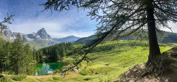 stock image Valle d'Aosta, Italy, 08-15-2024: view of Lago Blu (Blue Lake), small body of water surrounded by century-old larch trees with view of Cervino (Matterhorn), 4,478 meters mountain of Central Alps