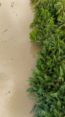 Mekong Deltası 'ndaki Vietnam ormanının hava manzarası ufukta uzanan palmiye ağaçlarıyla çevrili su yolu. Tipik Vietnam tekneleri. Orman evleri