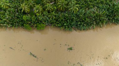 Mekong Deltası 'ndaki Vietnam ormanının hava manzarası ufukta uzanan palmiye ağaçlarıyla çevrili su yolu. Tipik Vietnam tekneleri. Orman evleri