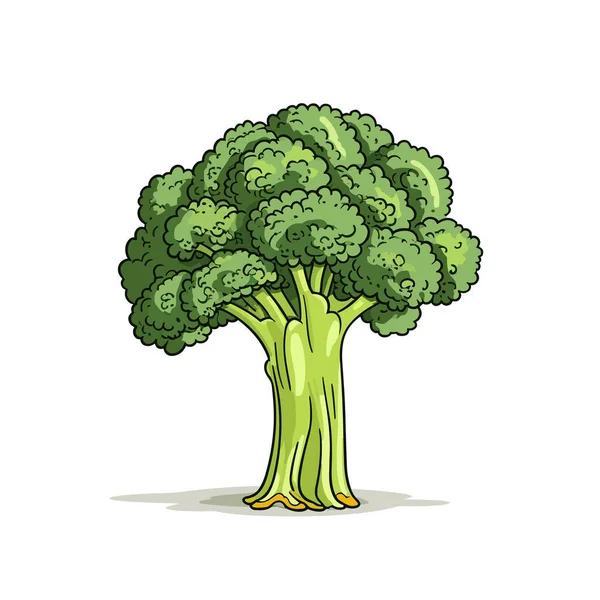 Broccoli Illustrazione Disegnata Mano Broccoli Illustrazione Del Fumetto Stile Doodle — Vettoriale Stock