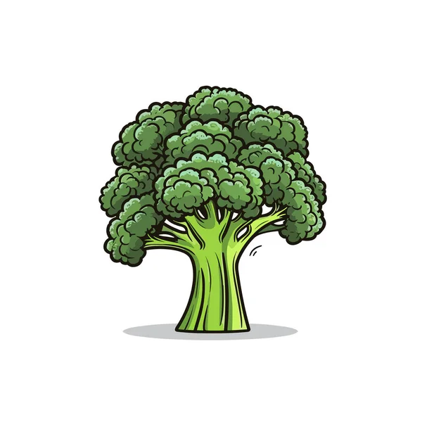 Brokuły Ręcznie Rysowana Ilustracja Brokułów Wektor Doodle Styl Kreskówki Ilustracja — Wektor stockowy