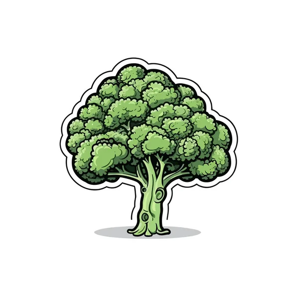 Brócolos Broccoli Ilustração Desenhada Mão Vector Doodle Estilo Desenho Animado — Vetor de Stock