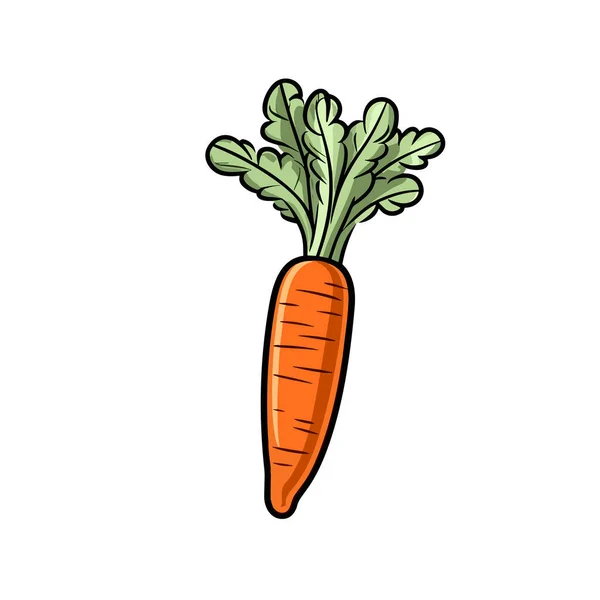 Морковь Иллюстрация Руки Морковки Векторная Иллюстрация Стиле Каракулей — стоковый вектор