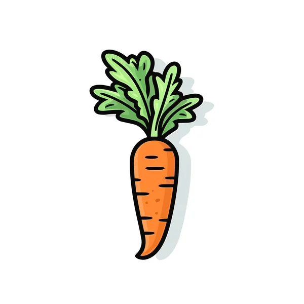 Zanahoria Zanahoria Ilustración Dibujada Mano Vector Doodle Estilo Ilustración Dibujos — Vector de stock