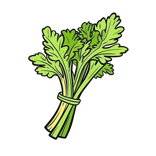 Celer Celery Ručně Kreslené Ilustrace Vektorové Kreslené Kreslené Ilustrace — Stockový vektor