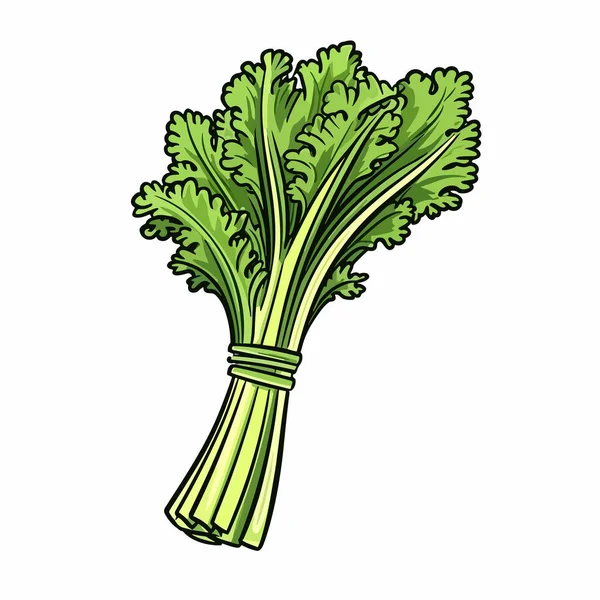 Celer Celery Ručně Kreslené Ilustrace Vektorové Kreslené Kreslené Ilustrace — Stockový vektor