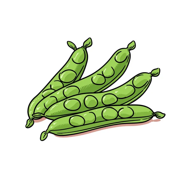 Peas Peas Hand Drawn Illustration Vector Doodle Style Cartoon Illustration — Stock Vector