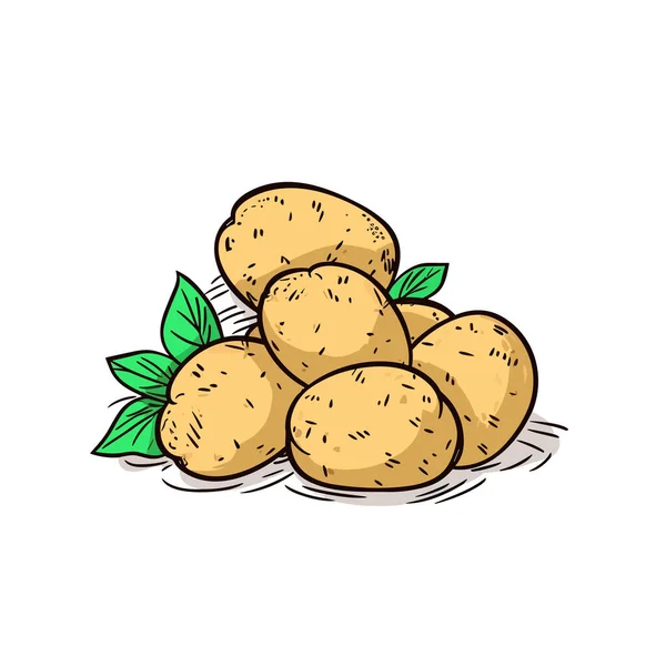 Ziemniaki Ilustracja Ręcznie Rysowanego Ziemniaka Wektor Doodle Styl Kreskówki Ilustracja — Wektor stockowy