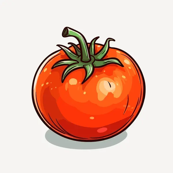 Tomat Ilustrasi Gambar Tangan Dengan Tomat Ilustrasi Kartun Gaya Doodle - Stok Vektor