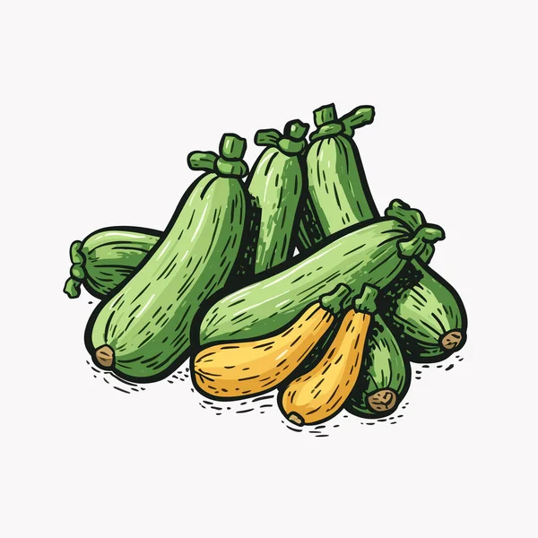 Zucchini Zucchini Ilustração Desenhada Mão Vector Doodle Estilo Desenho Animado — Vetor de Stock