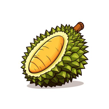 Durian. Durian el çizimi illüstrasyon. Vektör karalama stili çizgi film çizimi