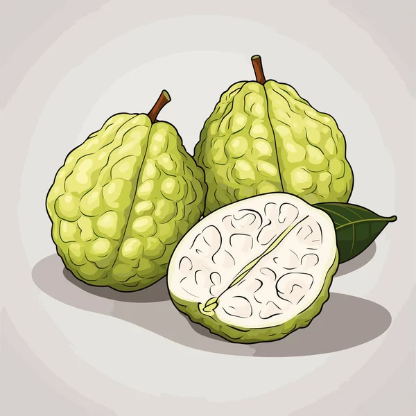 Jablko Jablečné Ručně Kreslené Ilustrace Vektorové Kreslené Kreslené Ilustrace — Stockový vektor