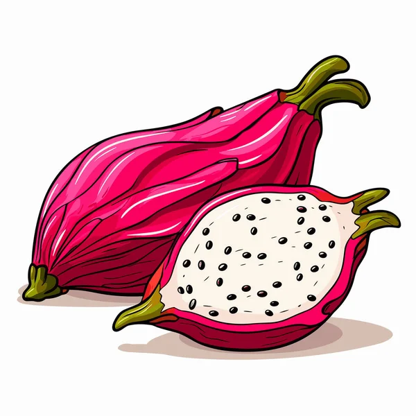 Drachenfrucht Drachenfrucht Handgezeichnete Illustration Zeichentrickfilm Vector Doodle Stil — Stockvektor