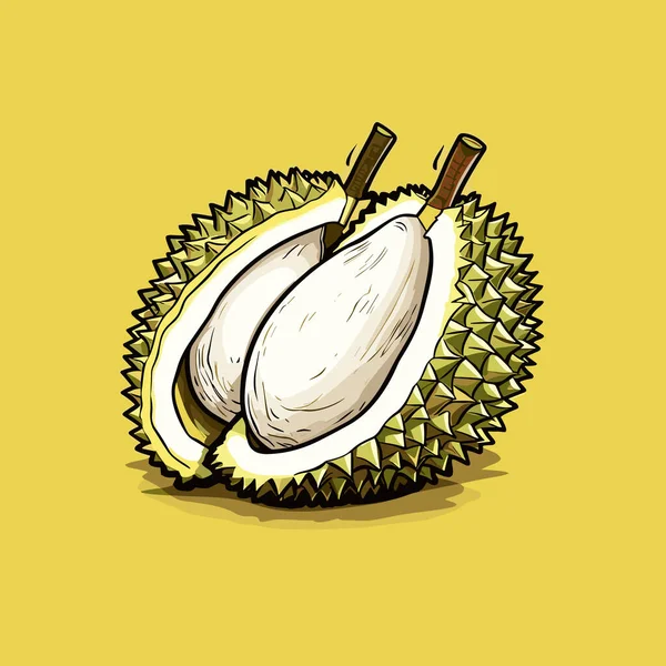 Durian Durian Handgezeichnete Illustration Zeichentrickfilm Vector Doodle Stil — Stockvektor