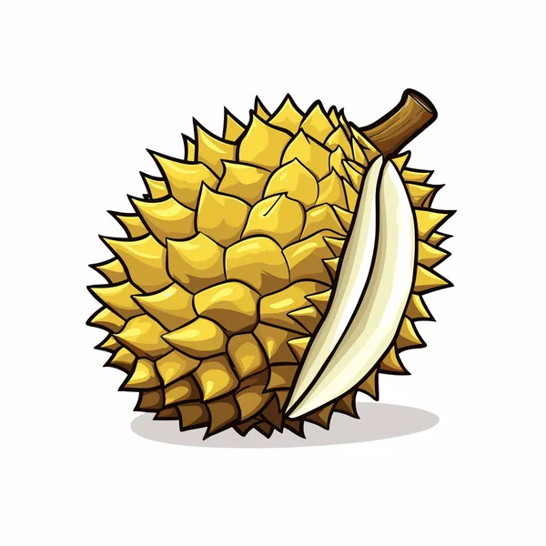 Durian Durian Handritad Illustration Vektor Klotter Stil Tecknad Illustration — Stock vektor