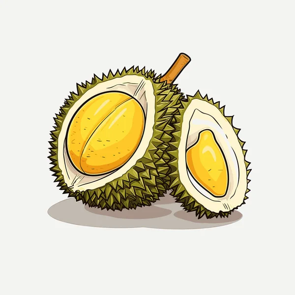 Durian Vagyok Durian Kézzel Rajzolt Illusztráció Vector Firka Stílusú Rajzfilm — Stock Vector
