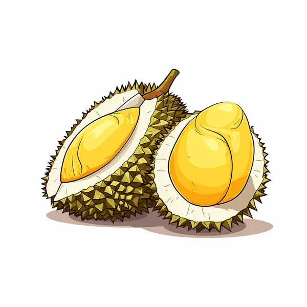 Durian Durianova Ručně Kreslená Ilustrace Vektorové Kreslené Kreslené Ilustrace — Stockový vektor
