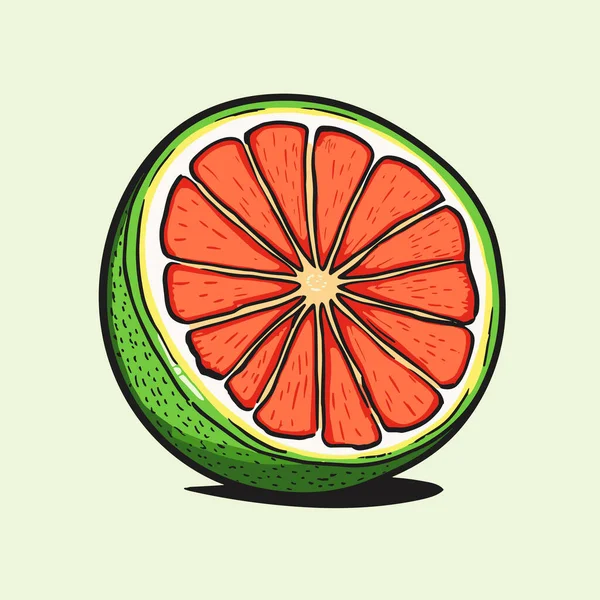Grapefruit Grapefruit Met Hand Getekend Illustratie Vector Doodle Stijl Cartoon — Stockvector