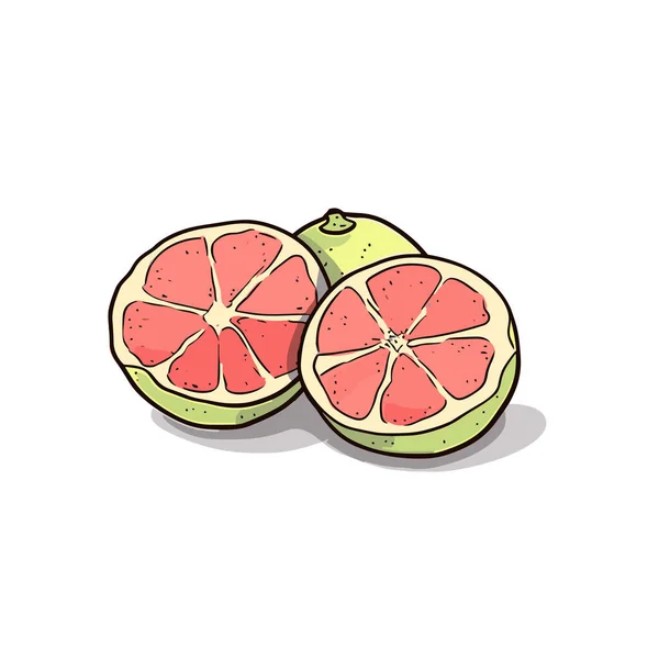 Jeruk Pahit Ilustrasi Gambar Tangan Grapefruit Ilustrasi Kartun Gaya Doodle - Stok Vektor