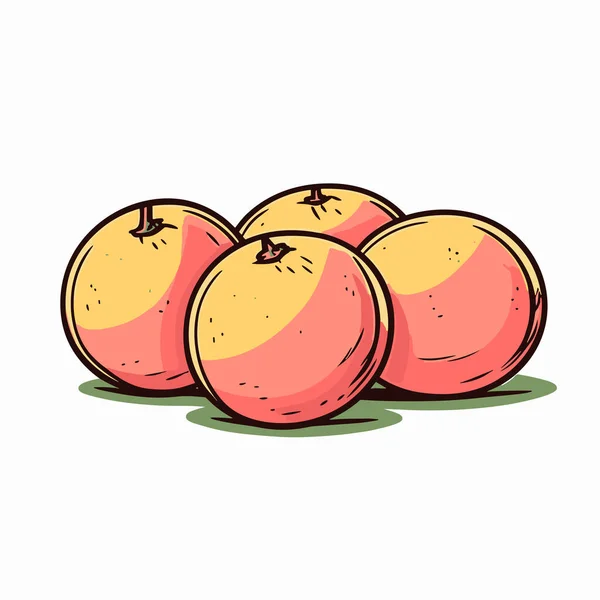 Grapefruit Grapefruit Hand Drawn Illustration Vector Doodle Style Cartoon Illustration — Stock Vector