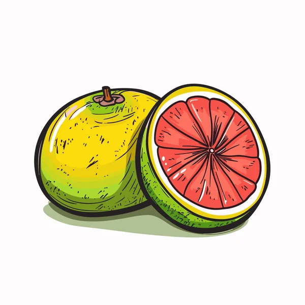 Toranjas Grapefruit Ilustração Desenhada Mão Vector Doodle Estilo Desenho Animado — Vetor de Stock