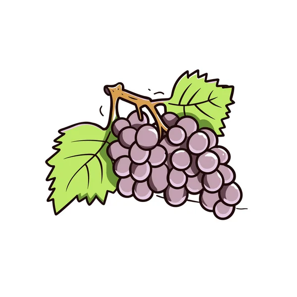 Druiven Druiven Met Hand Getekend Illustratie Vector Doodle Stijl Cartoon — Stockvector