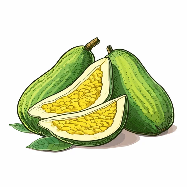 Jabłecznik Ręcznie Rysowana Ilustracja Jackfruit Wektor Doodle Styl Kreskówki Ilustracja — Wektor stockowy